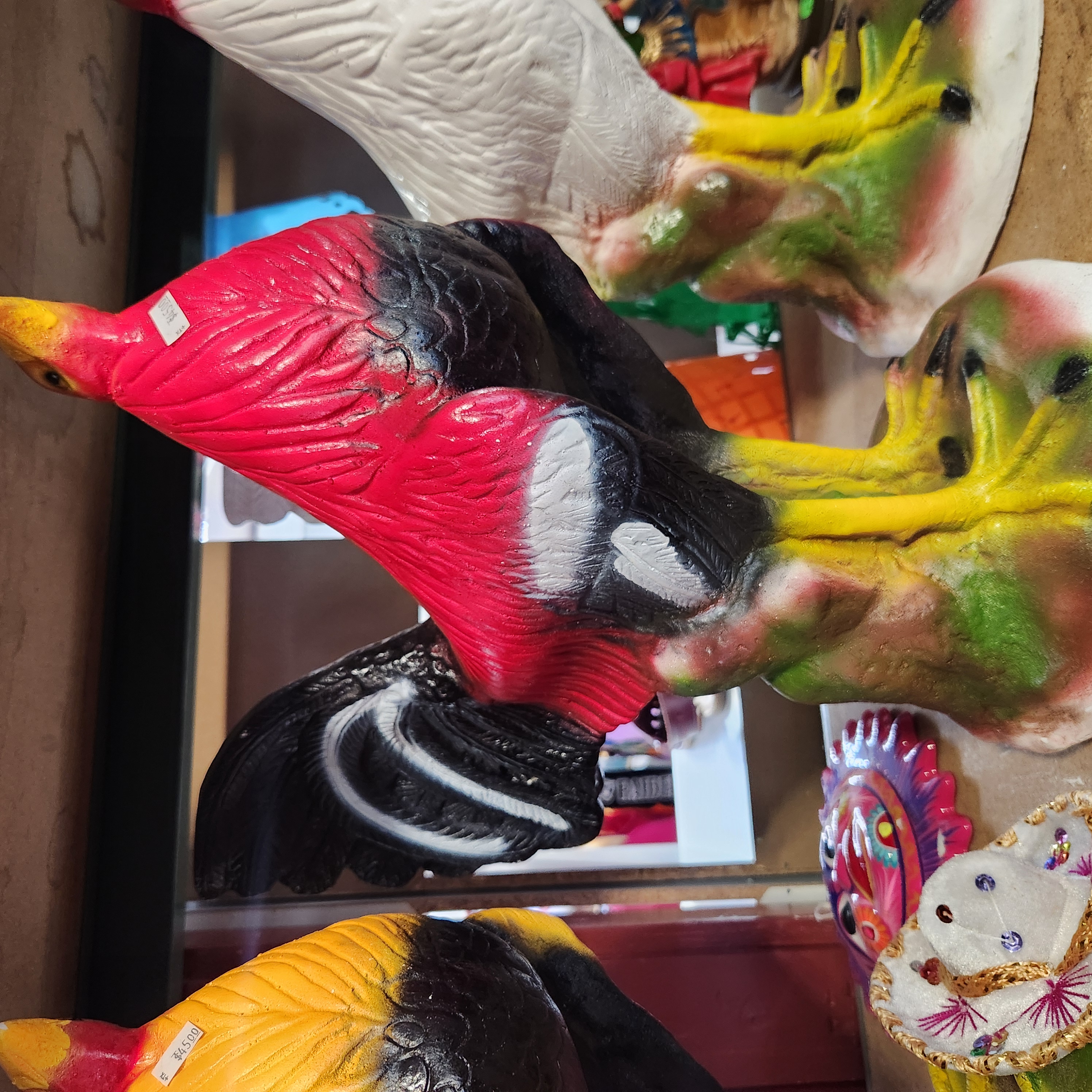 Gallo negro con rojo