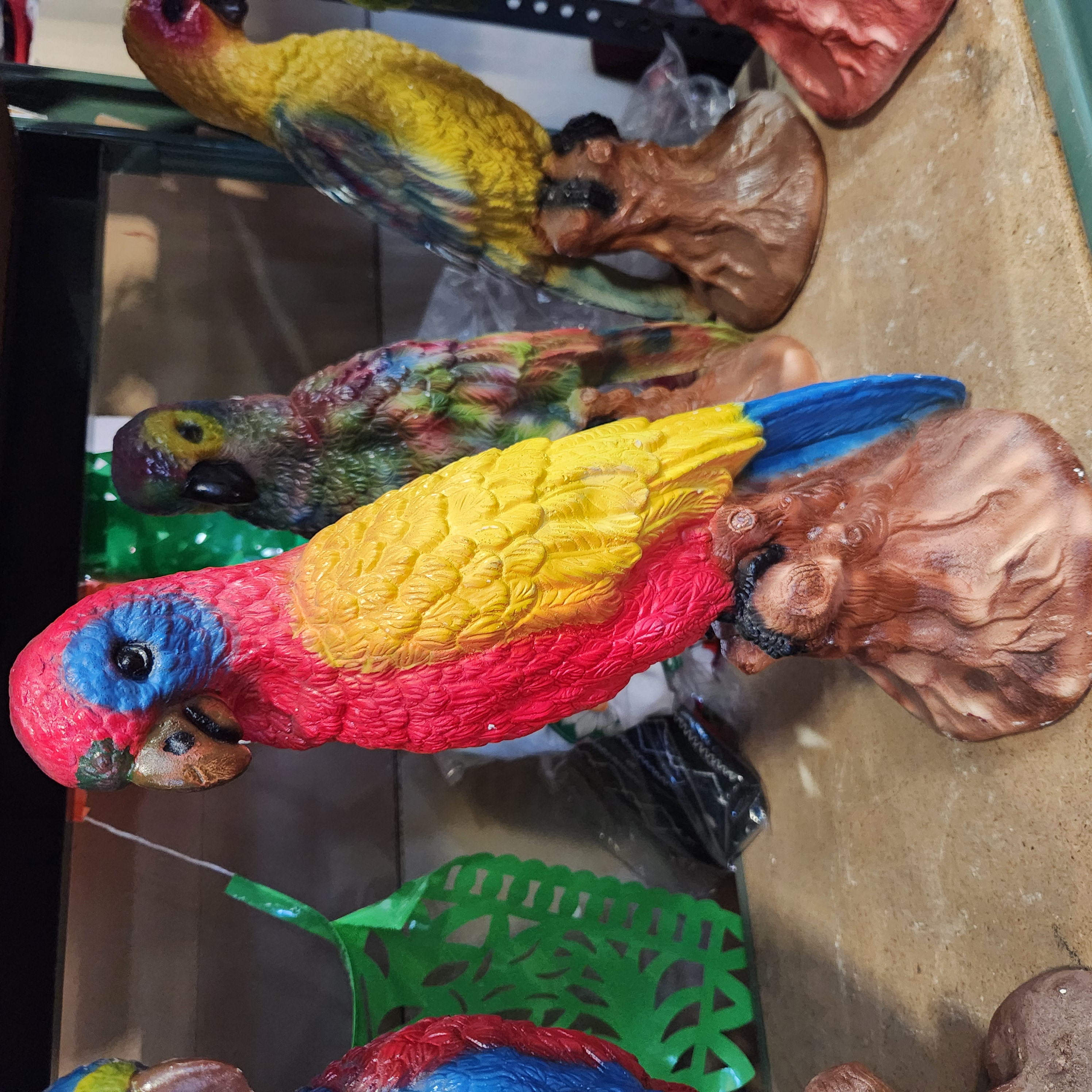 Perico Cotorro Rojo Amarillo y azul