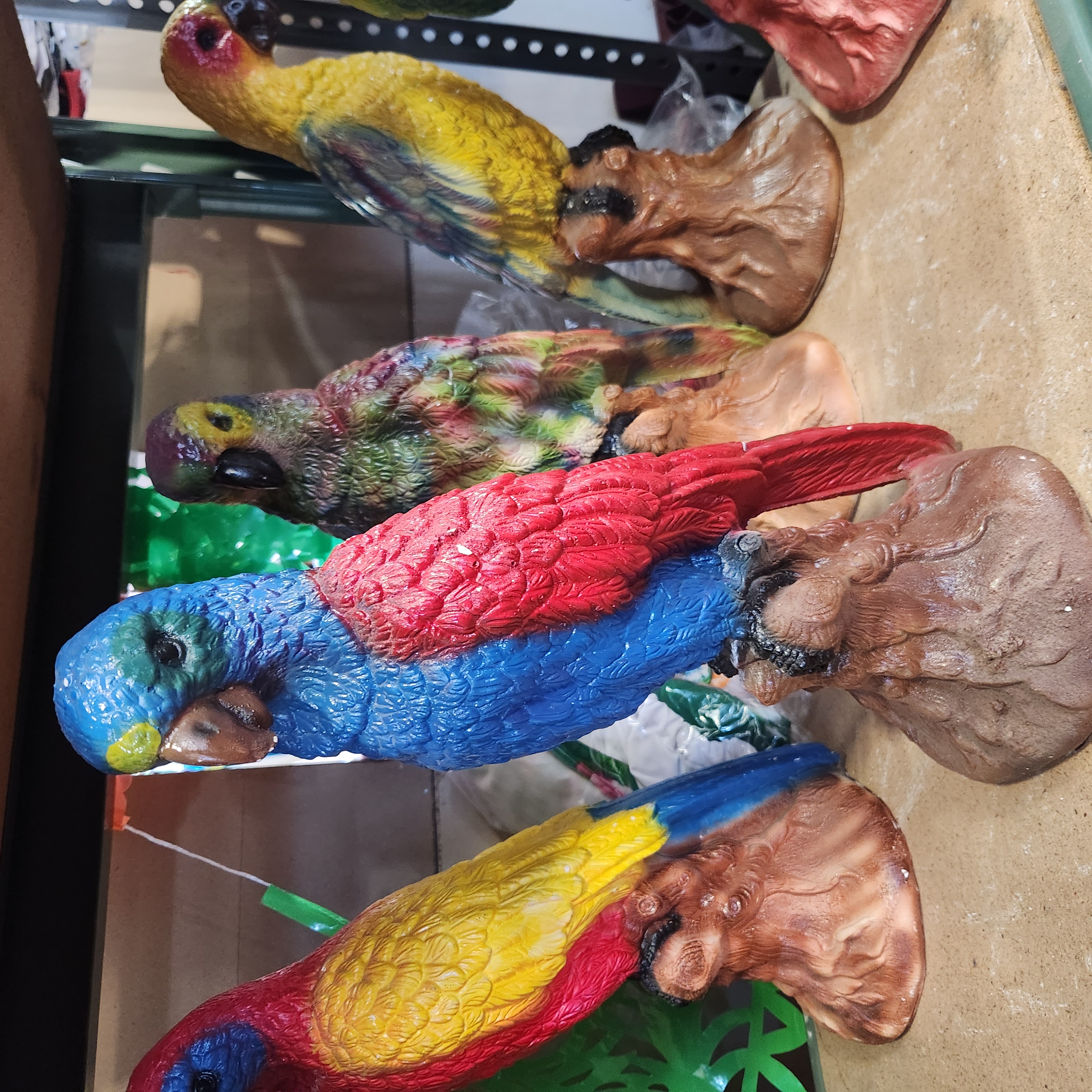 Perico Cotorro Rojo y azul