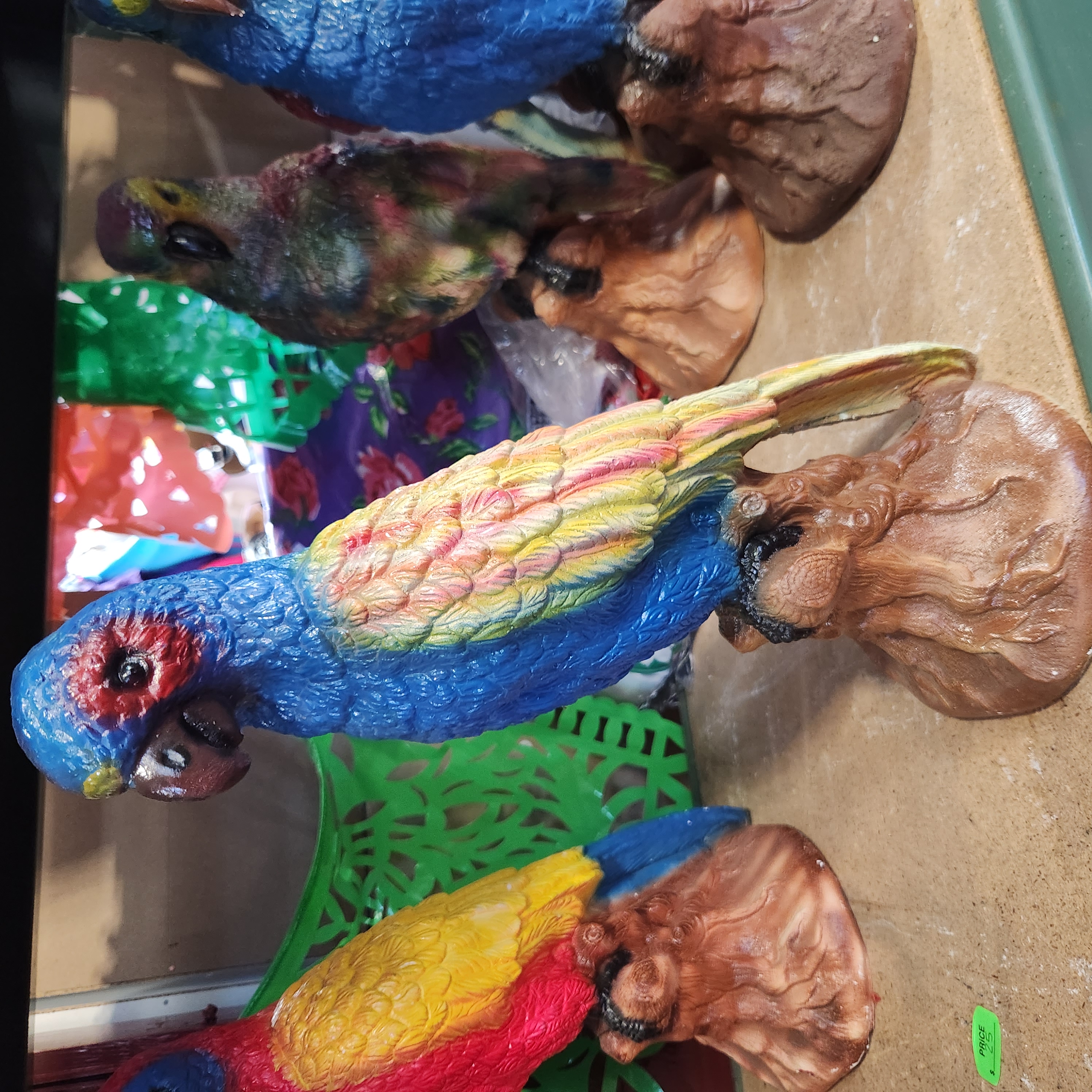 Perico Cotorro azul y multicolor