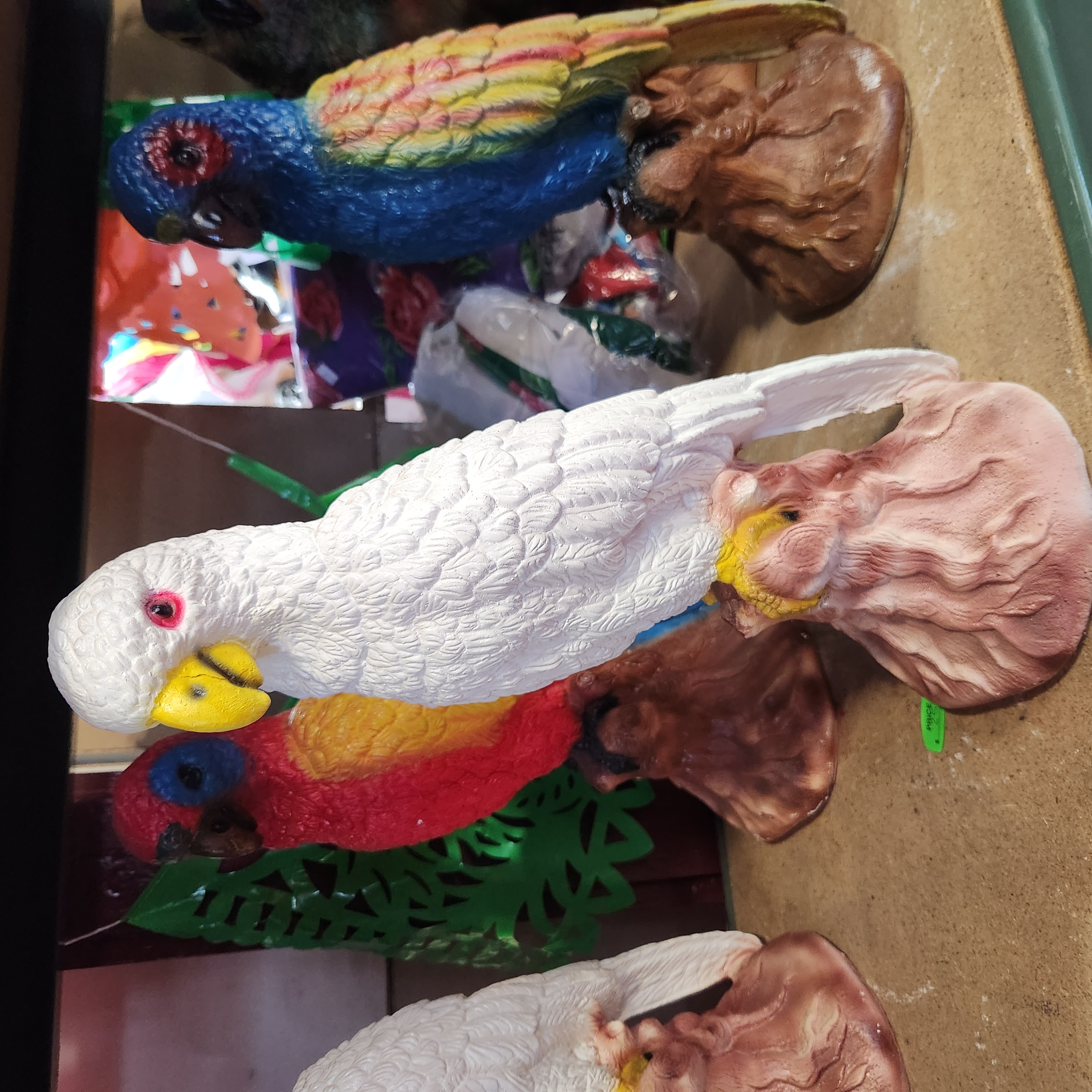 Perico Cotorro blanco